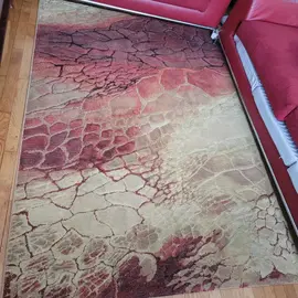 tapis de salon
