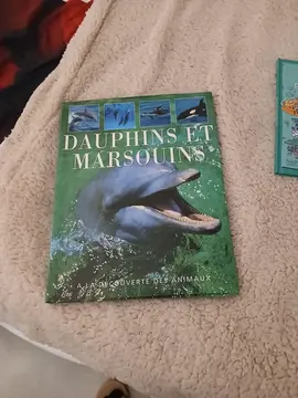 livre dauphin