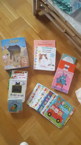 Livres pour enfants variés