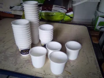 Petits pots en plastique