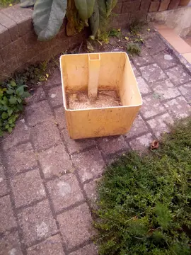 bac pour plantes