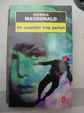 Un coupable trop parfait
