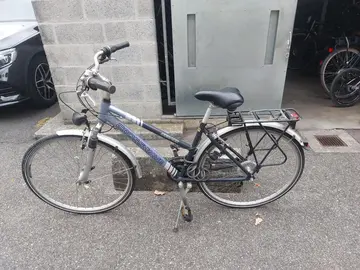 Vélo Musculaire Femme de Ville