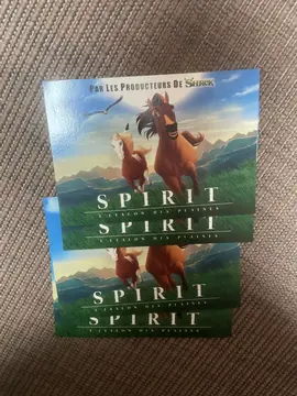 lot 4 cartes postales cheval Spirit