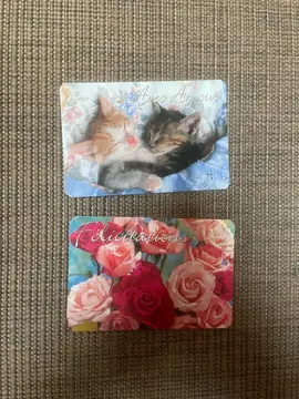 2 cartes de vœux neuves