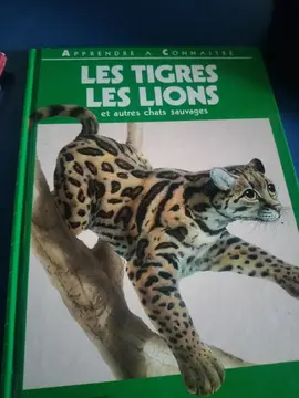 les tigres les lions