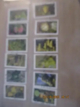 Série 12 timbres oblitérés de France "Fruits"