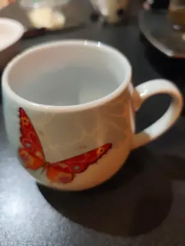 mug papillon