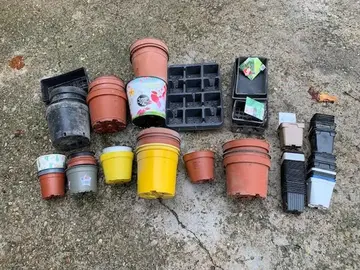 lot pots plastiques