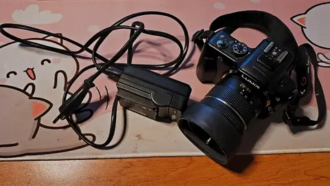 Panasonic DMC-G3
