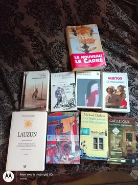 lot de romans en français