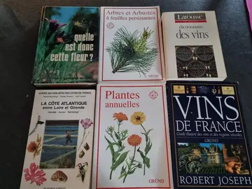 lot de livres