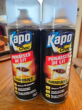 Produits insecticide pour punaises de lit , 2 bombes apparemment neuves