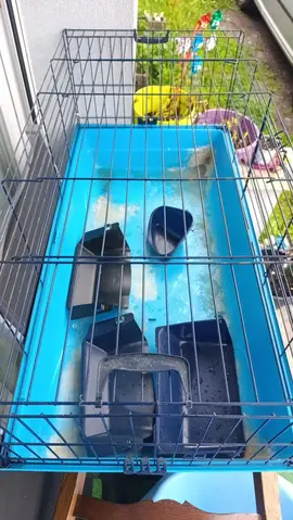 cage à chercher rapidement