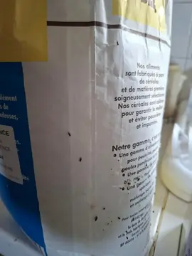 grains de blé pour volailles