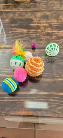 Jouets pour chat