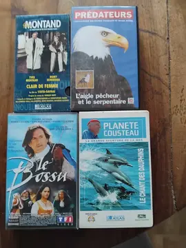 100 cassettes vidéo thèmes Montand … les Prédateurs … films