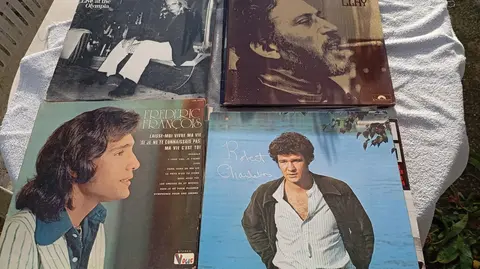 Collection de disques 33 tours