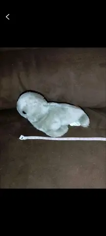 peluche otarie/ phoque
