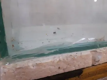 aquarium 2 mètres