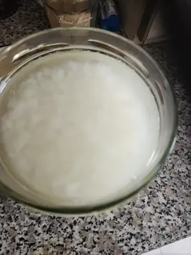 graines de kéfir