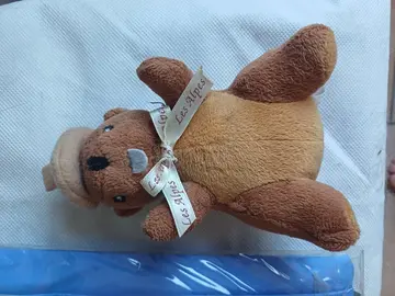 petite peluche castor musicale