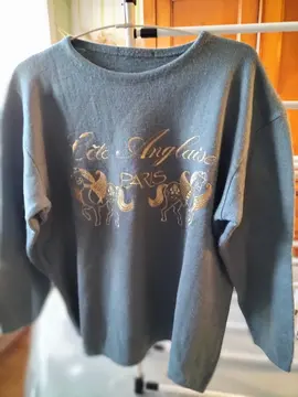 pull bleu taille M/L