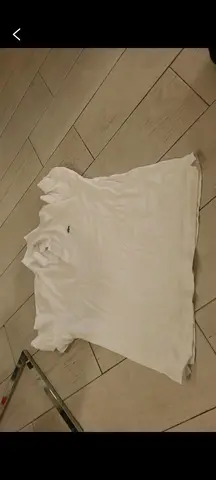 polo lacoste