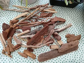 lot de bois flotté