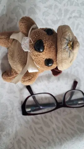 peluche marmotte