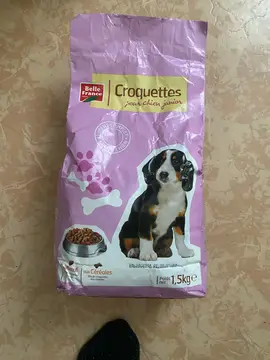 croquettes pour chien
