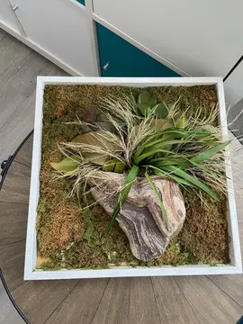 cadre nature morte