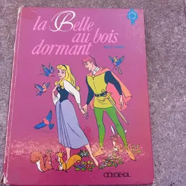 Livre "La Belle au Bois Dormant"
