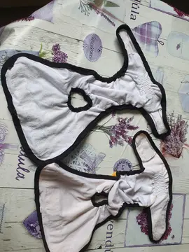 culottes pour chiens