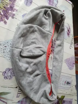 sac de transport pour chiens
