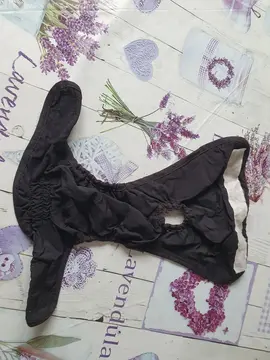 culotte pour incontinence chiens