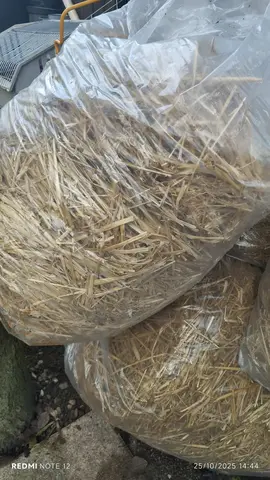 8 sacs de paille pour animaux