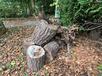 Bois de chauffage