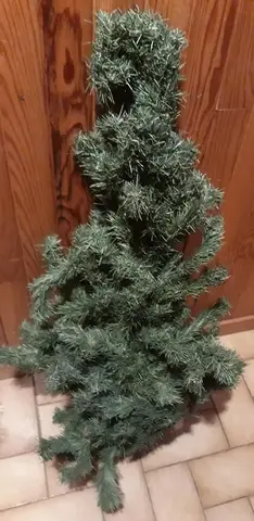 Petit sapin