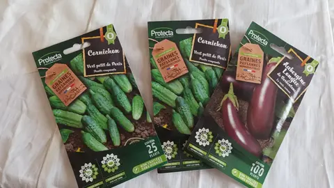 Sachets semences