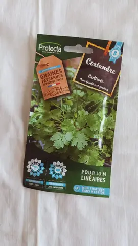 sachet semence