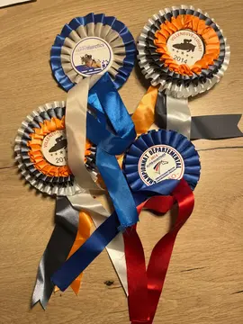 prix CSO