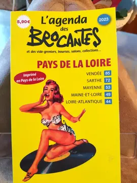 livre des brocantes et vides greniers