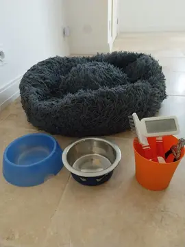 kit complet pour chien