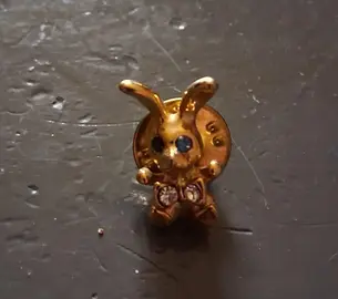 pin's Lapin