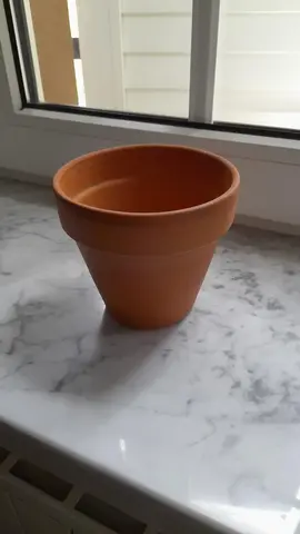Pot de fleur en terre cuite