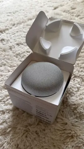 Google home