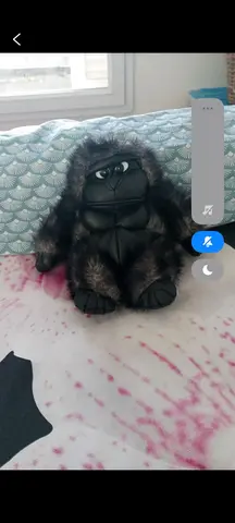 peluche
