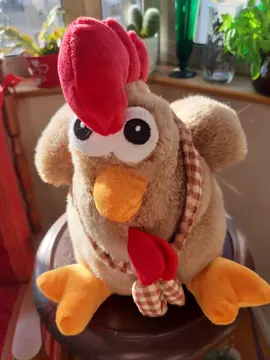 peluche poule 2