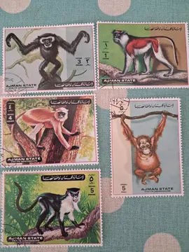 timbres Ajman